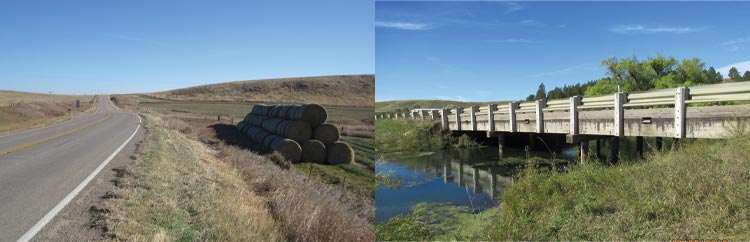 bridge and hay